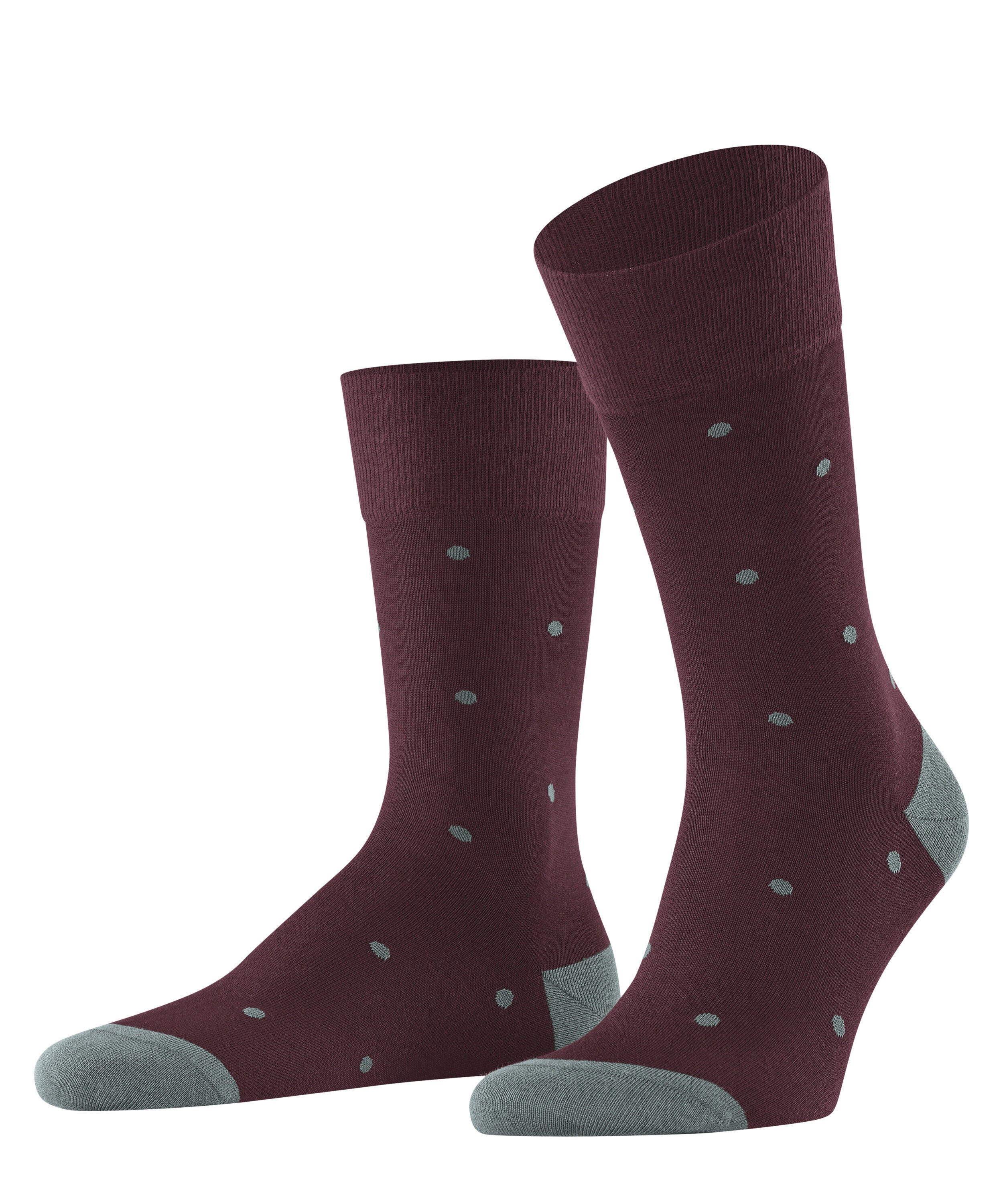 Falke Dot Men Socks - Men - barolo